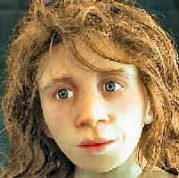 Neanderthal